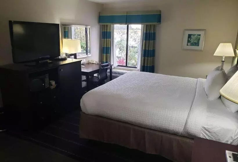 キングサイズベッドのスタンダードルーム, Best Western Plus Sanford Airport/lake Mary