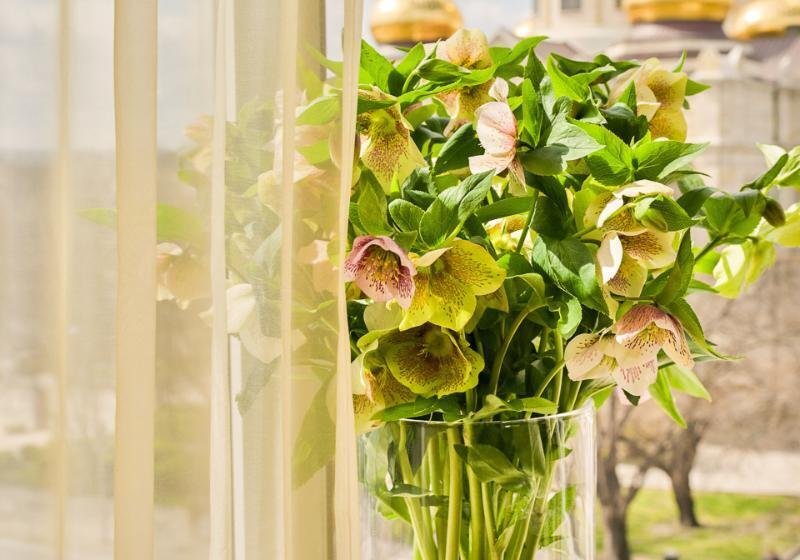 Студия Стандарт, Boutique Splendid