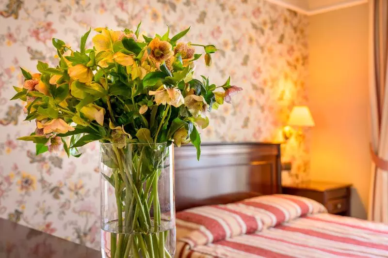اتاق استاندارد, Boutique Splendid