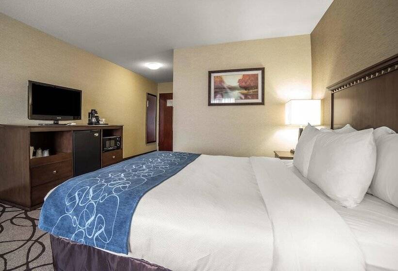 جناح, Comfort Suites Airport