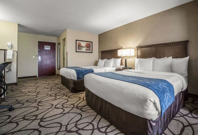Люкс, Comfort Suites Airport