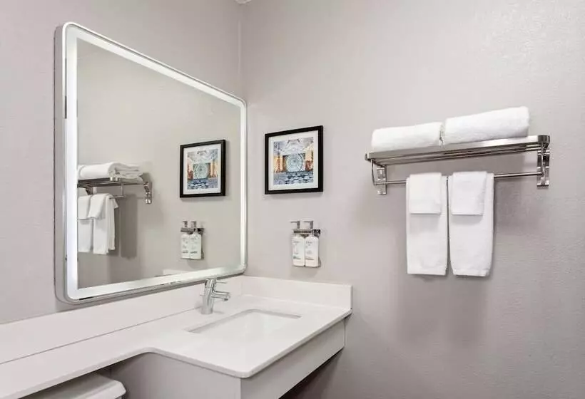 スタンダードルーム, Holiday Inn Chicago/oak Brook, An Ihg