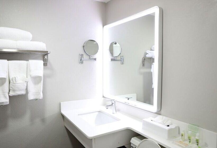 غرفة قياسية, Holiday Inn Chicago/oak Brook, An Ihg