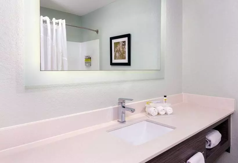 スタンダードルーム, Holiday Inn Express Hotel & Suites Bonita Springs/naples, An Ihg