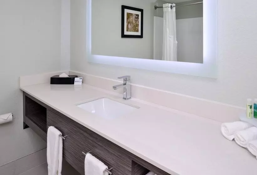 身障者適用スタンダードルーム, Holiday Inn Express Hotel & Suites Bonita Springs/naples, An Ihg