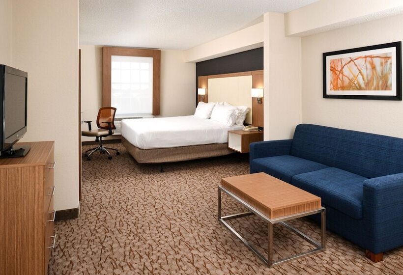 Standard-invahuone, Holiday Inn Express Hotel & Suites Bonita Springs/naples, An Ihg