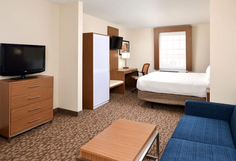 غرفة قياسية لذوى الاحتياجات الخاصة, Holiday Inn Express Hotel & Suites Bonita Springs/naples, An Ihg