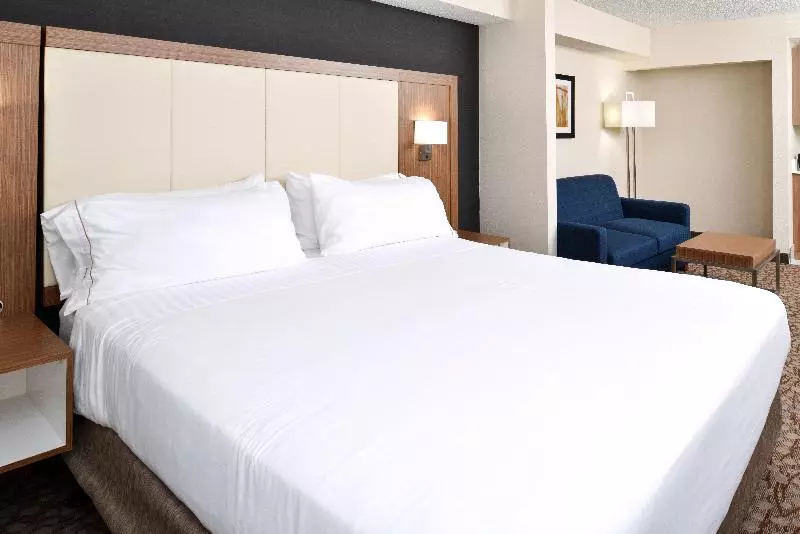 キングサイズベッドのスイートルーム, Holiday Inn Express Hotel & Suites Bonita Springs/naples, An Ihg