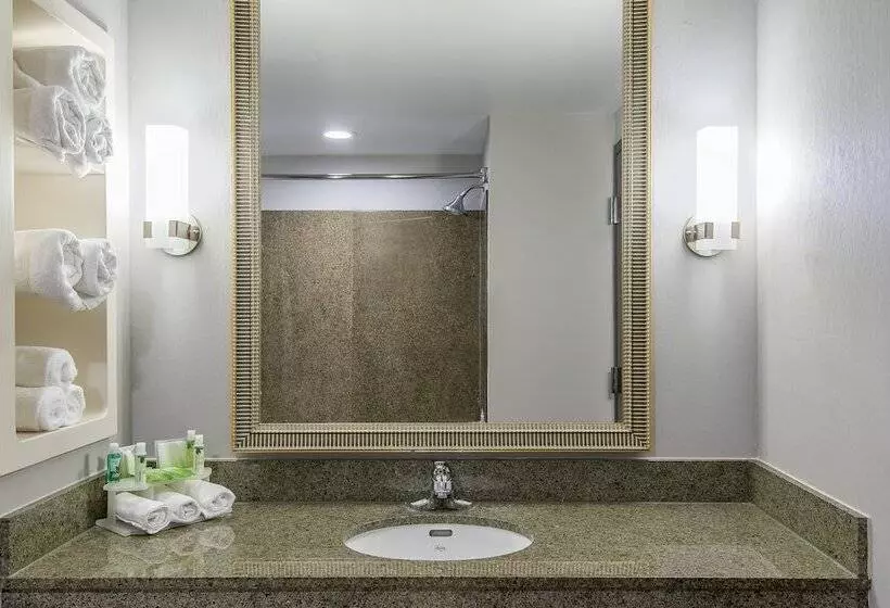スタンダードルーム, Holiday Inn Express & Suites Cooperstown By Ihg