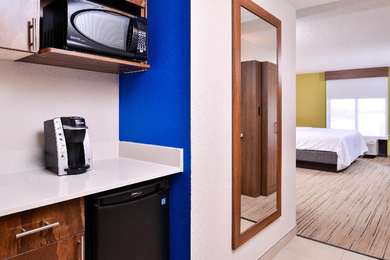 带大床的套房, Holiday Inn Express Hotel & Suites Tampa Anderson Road Veterans Exp, An Ihg