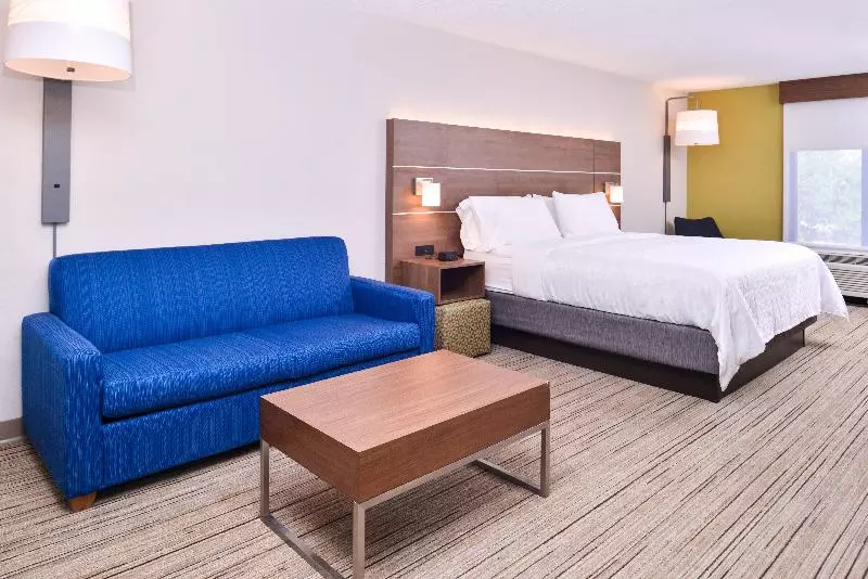 キングサイズベッドのスイートルーム, Holiday Inn Express Hotel & Suites Tampa Anderson Road Veterans Exp, An Ihg