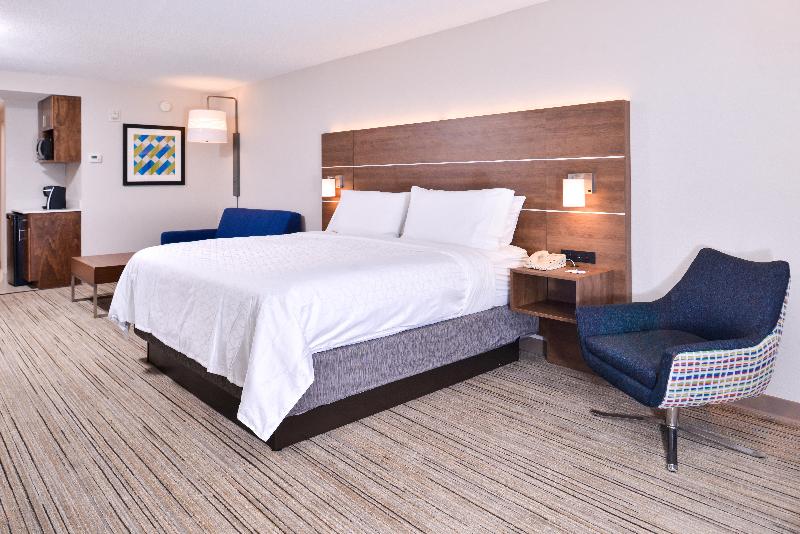 带大床的套房, Holiday Inn Express Hotel & Suites Tampa Anderson Road Veterans Exp, An Ihg