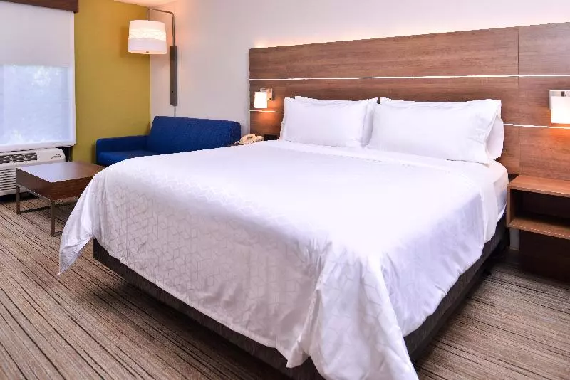 キングサイズベッドのスタンダードルーム, Holiday Inn Express Hotel & Suites Tampa Anderson Road Veterans Exp, An Ihg