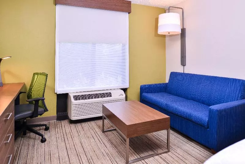 キングサイズベッドのスタンダードルーム, Holiday Inn Express Hotel & Suites Tampa Anderson Road Veterans Exp, An Ihg