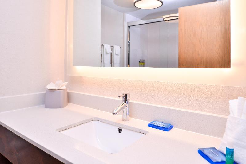 商务房间, Holiday Inn Express Hotel & Suites Tampa Anderson Road Veterans Exp, An Ihg