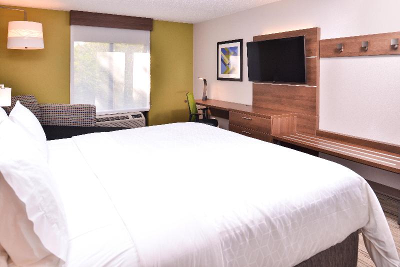 غرفة قياسية سرير كينج, Holiday Inn Express Hotel & Suites Tampa Anderson Road Veterans Exp, An Ihg