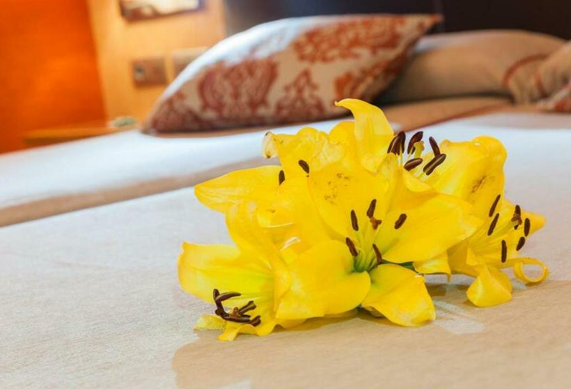 اتاق استاندارد, Medinaceli New Reopening 2025