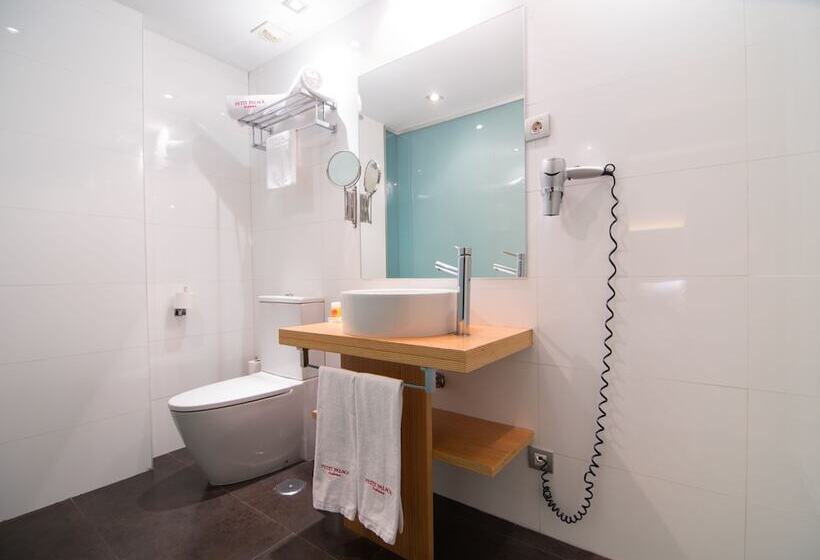 اتاق عادی, Petit Palace Alcala