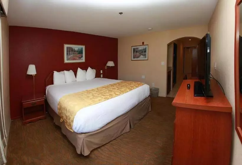 اتاق استاندارد با تخت بزرگ, Ramada By Wyndham Fresno Northwest