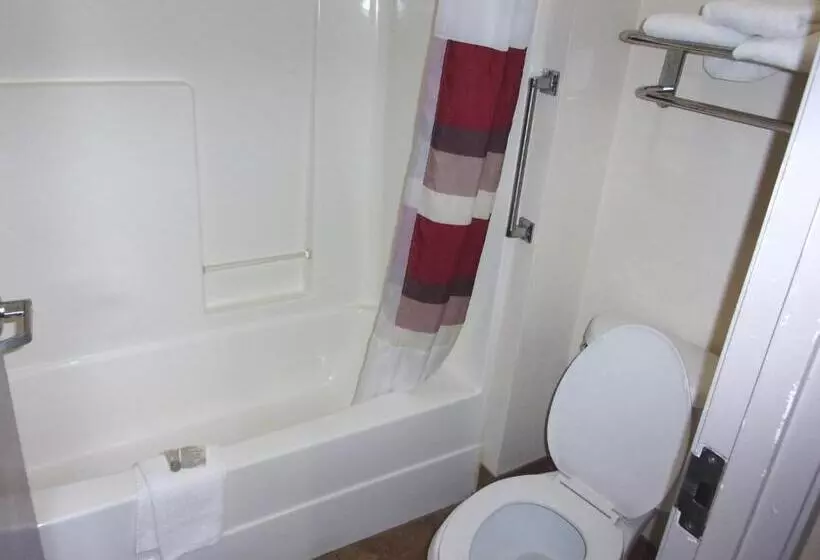 キングサイズベッドのデラックスルーム, Red Roof Inn & Suites Monee