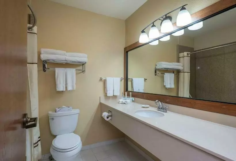 اتاق استاندارد با تخت بزرگ, Truckee Donner Lodge