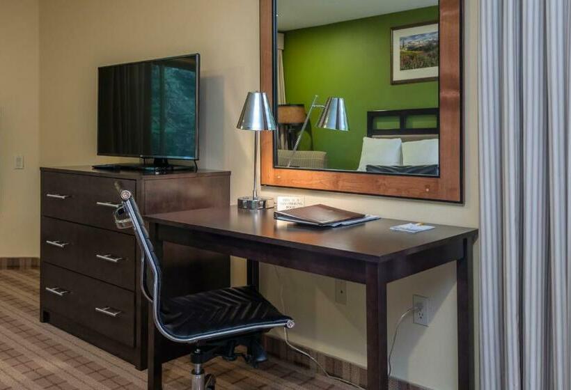 스탠다드 룸 킹사이즈 침대, Truckee Donner Lodge