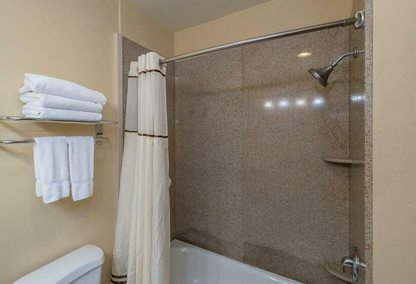 스탠다드 룸 킹사이즈 침대, Truckee Donner Lodge