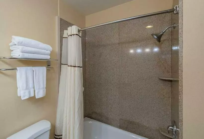اتاق استاندارد با تخت بزرگ, Truckee Donner Lodge