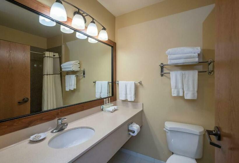 스탠다드 룸 킹사이즈 침대, Truckee Donner Lodge