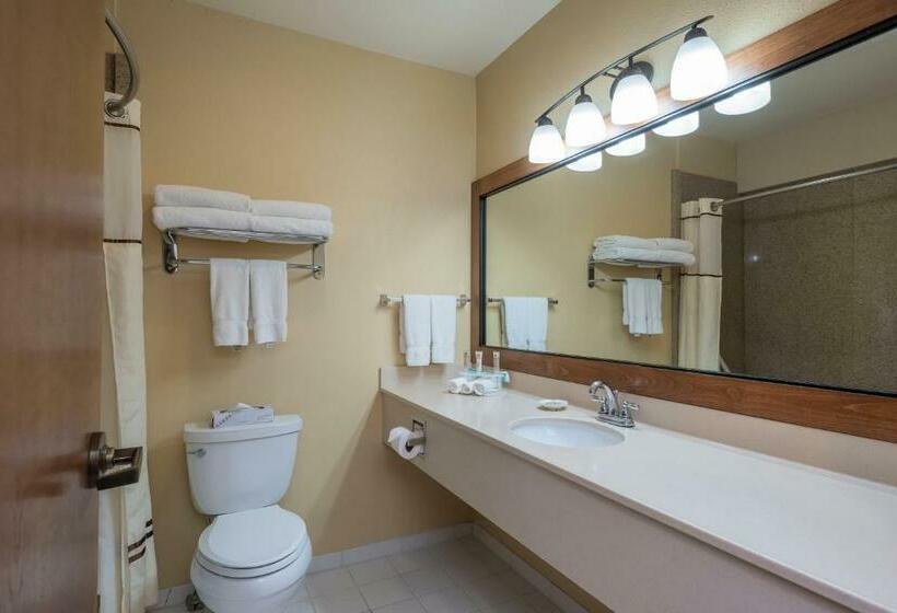 스탠다드 룸, Truckee Donner Lodge