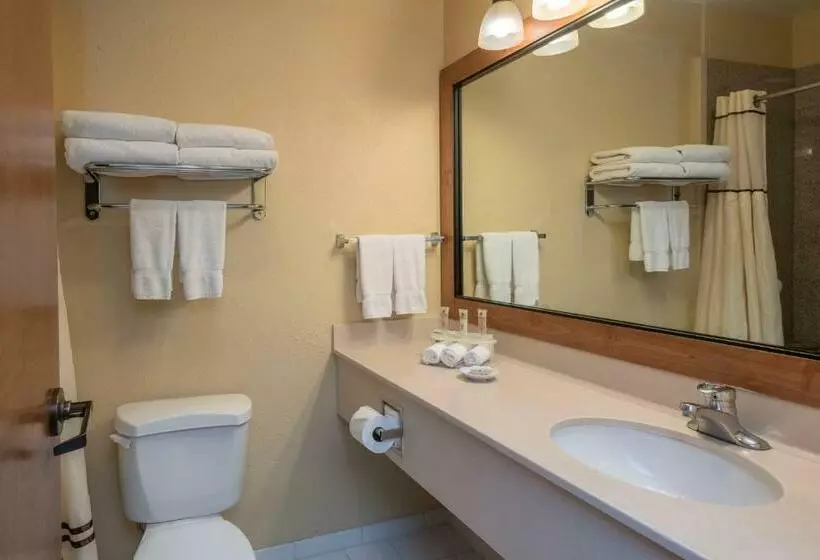 اتاق استاندارد, Truckee Donner Lodge