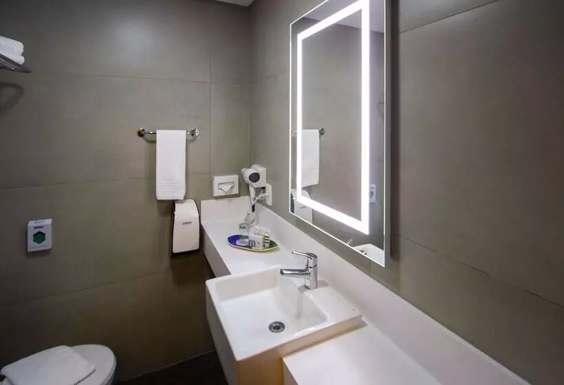一ベッドルームエクゼクティブアパートメント, Mercure Florianópolis