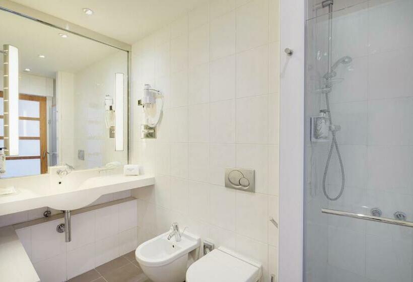 غرفة قياسية, Sercotel Valladolid