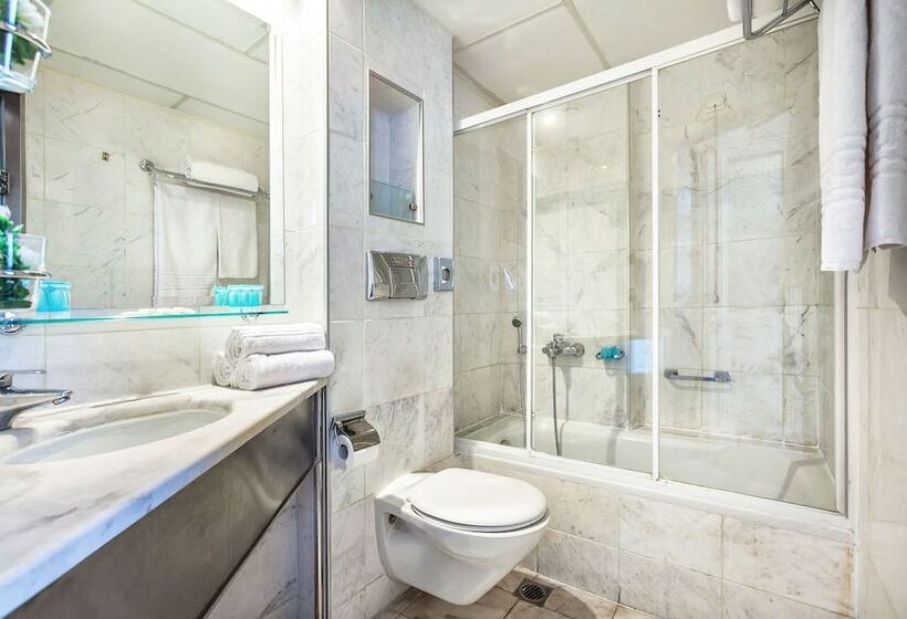 Pokój Standard Trzyosobowy, Minerva Premier