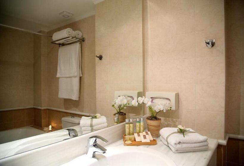 스탠다드 룸, Olympion Asty