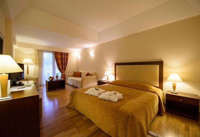 스탠다드 룸, Olympion Asty