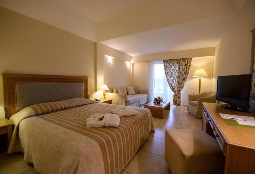 스탠다드 룸, Olympion Asty