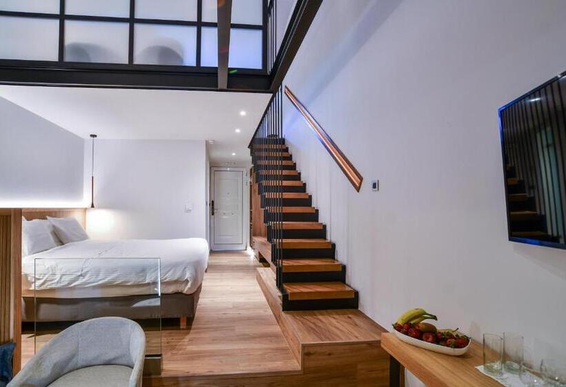 Family Suite, Olympion Asty