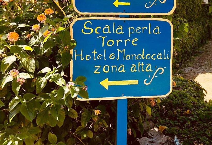 이코노미 룸, Villaggio Roller Club