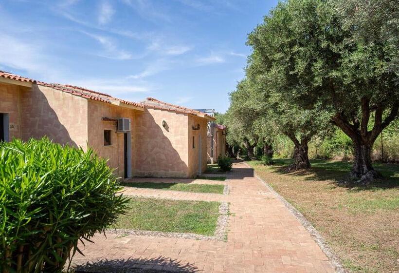 스탠다드 스튜디오, Villaggio Roller Club