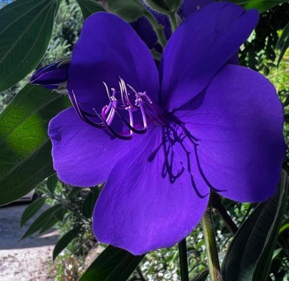 스탠다드 룸, Quinta De Gestacos