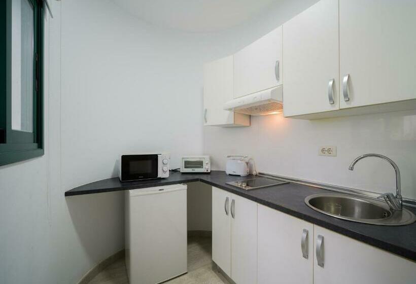 استودیو استاندارد با تراس, Apartamentos Los Rosales