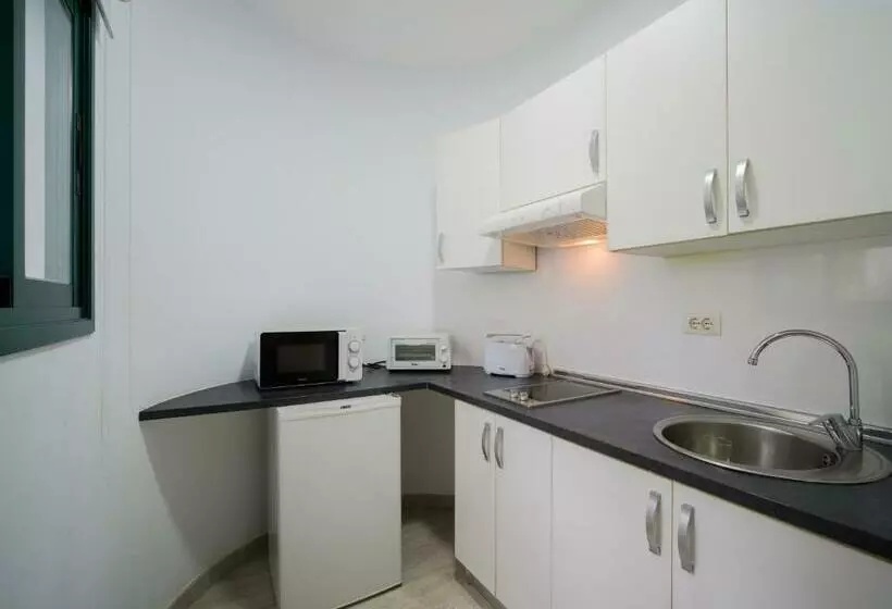 استودیو استاندارد با تراس, Apartamentos Los Rosales