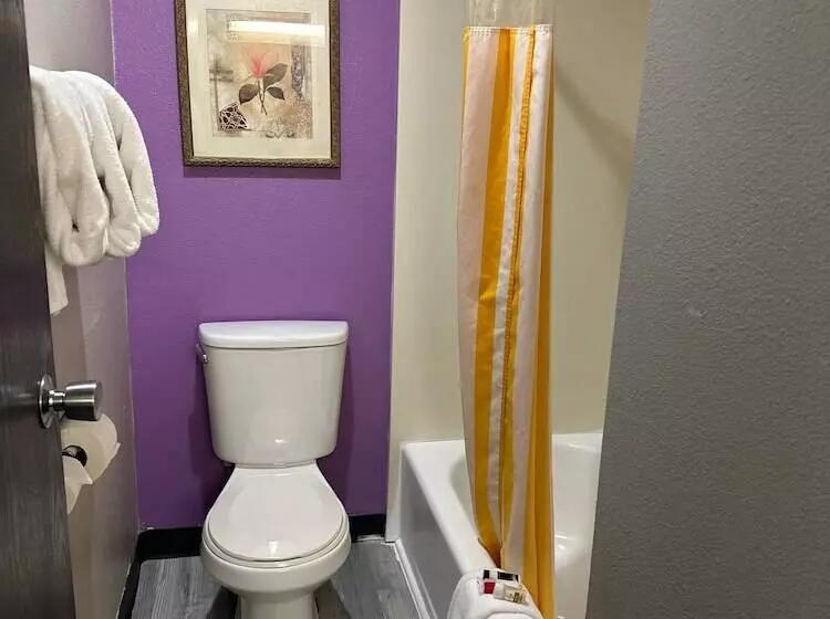 اتاق استاندارد با 2 تخت دوبل, La Quinta Inn By Wyndham Omaha Southwest