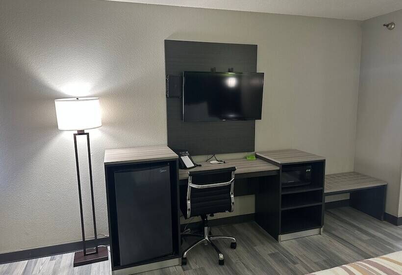 Номер Стандарт 2 Двуспальные Кровати, La Quinta Inn By Wyndham Omaha Southwest