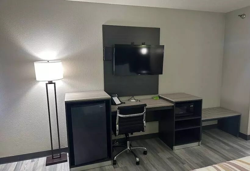 اتاق استاندارد با 2 تخت دوبل, La Quinta Inn By Wyndham Omaha Southwest