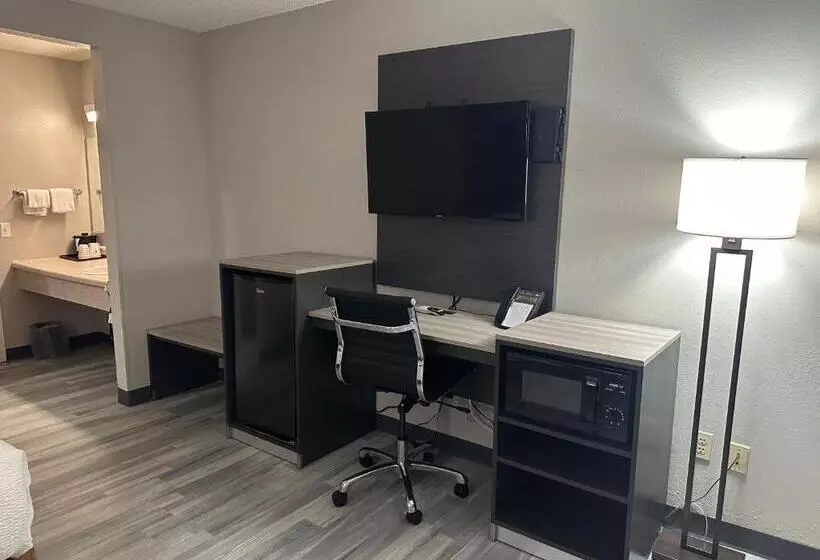 اتاق استاندارد با تخت بزرگ, La Quinta Inn By Wyndham Omaha Southwest