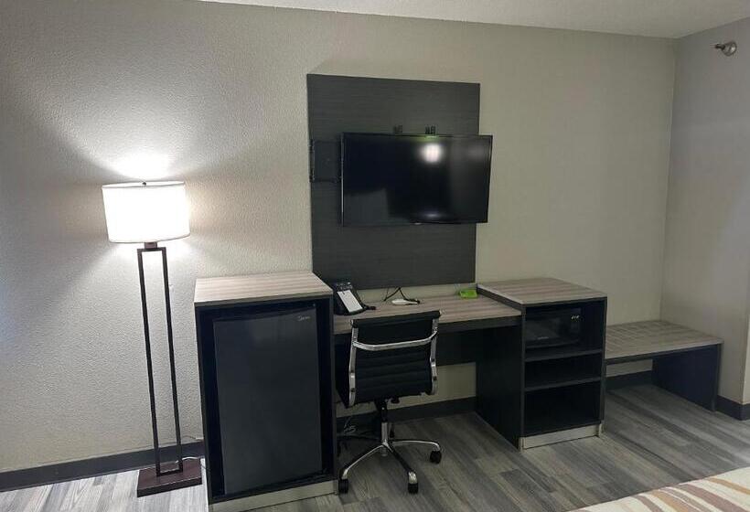 Стандартный Номер Кровать Кинг, La Quinta Inn By Wyndham Omaha Southwest