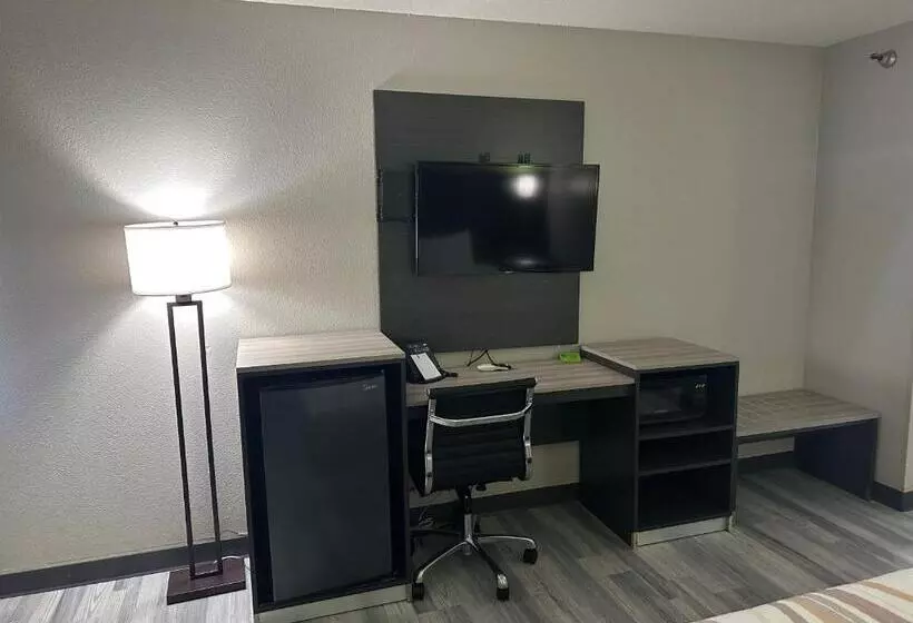 اتاق استاندارد با تخت بزرگ, La Quinta Inn By Wyndham Omaha Southwest