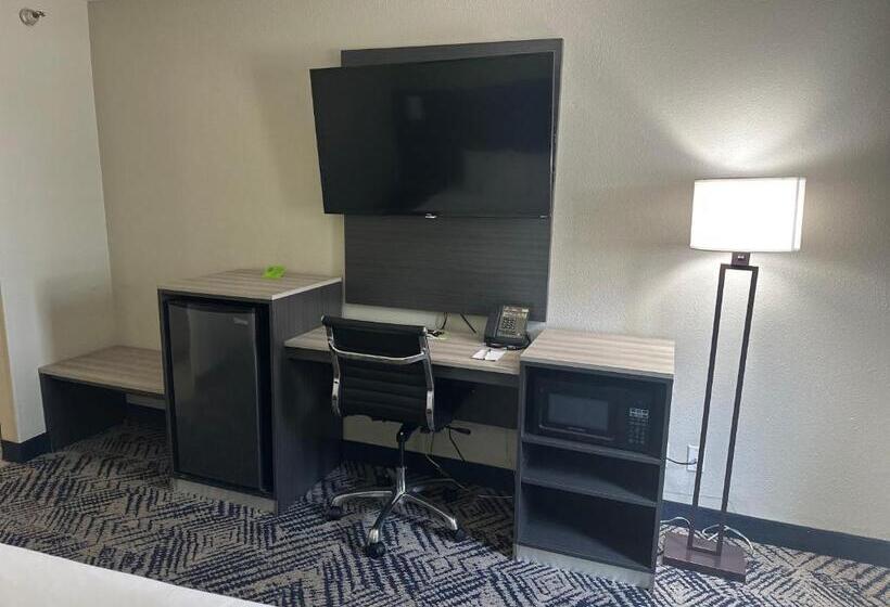 Стандартный Номер Кровать Кинг, La Quinta Inn By Wyndham Omaha Southwest